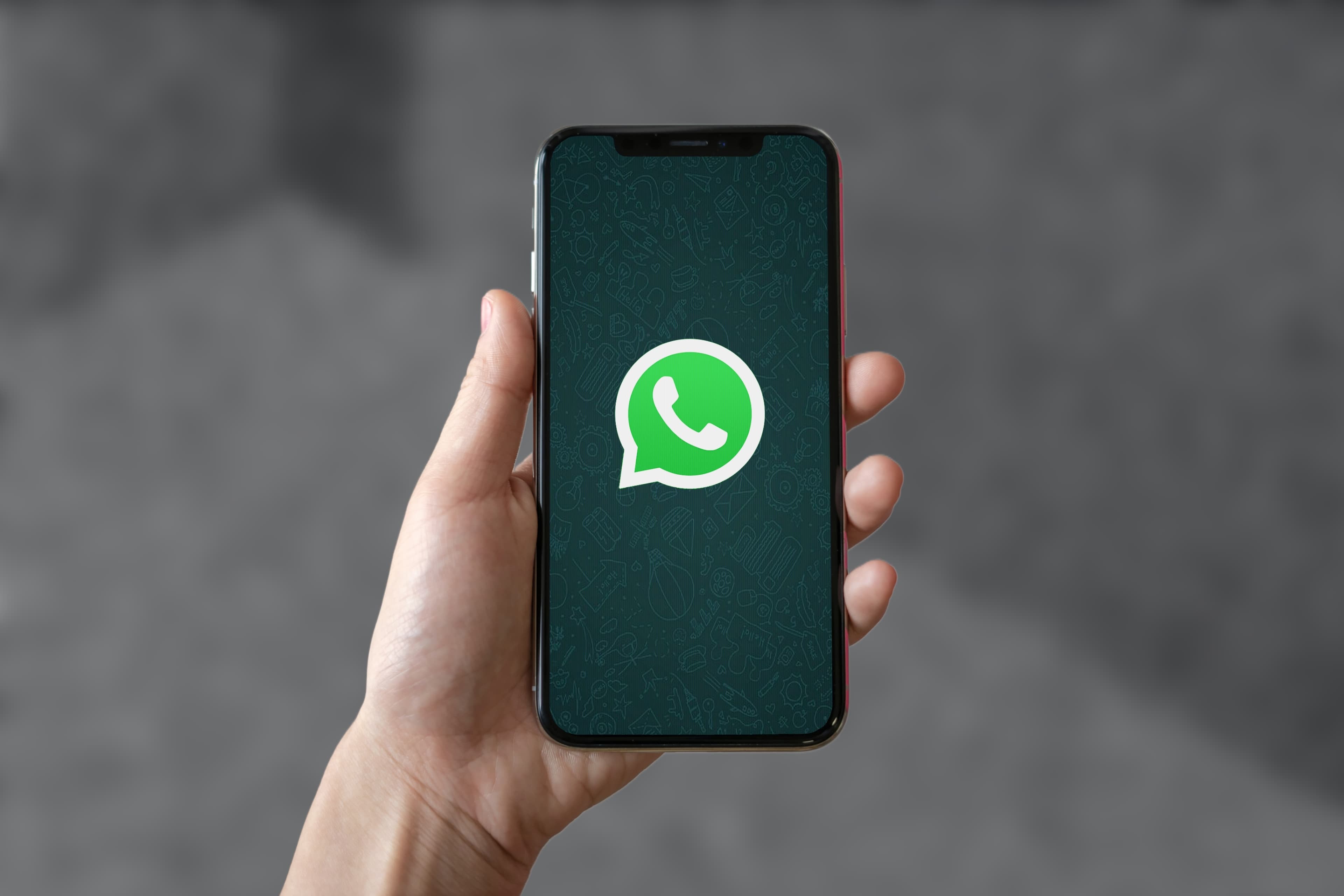 WhatsApp Business Desktop: How it Works